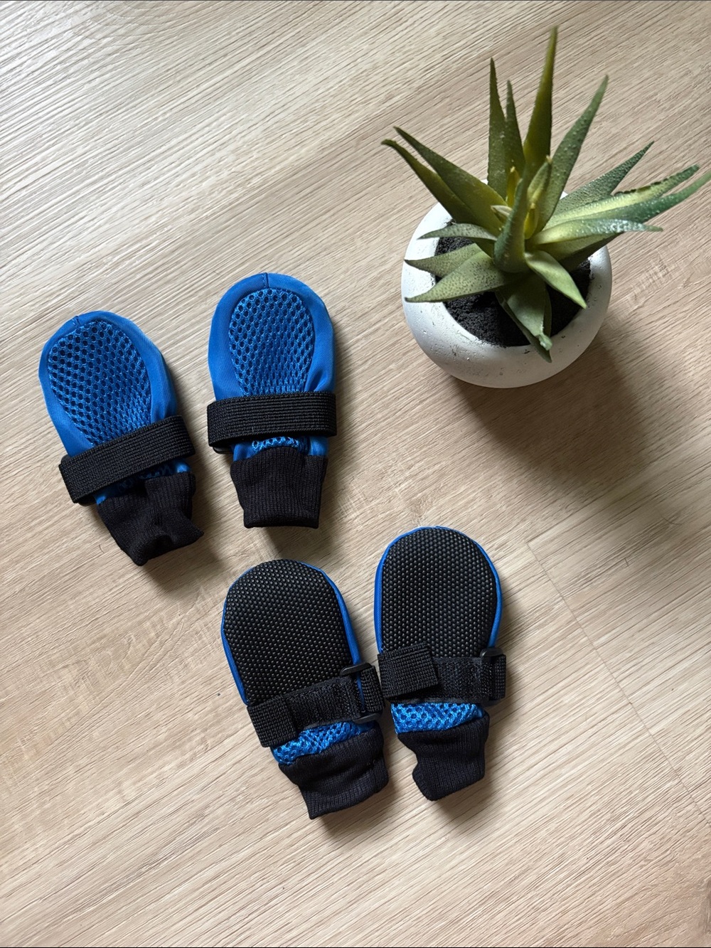 NWOT | Dog Booties | Size Small